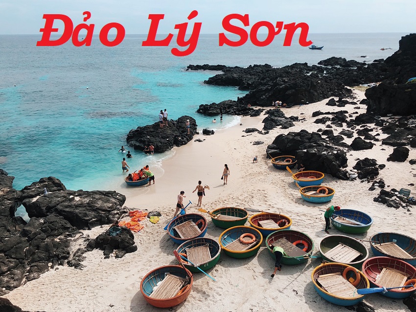 tour-đảo-lý-sơn