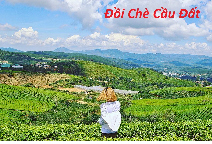 tour du lịch đà lạt