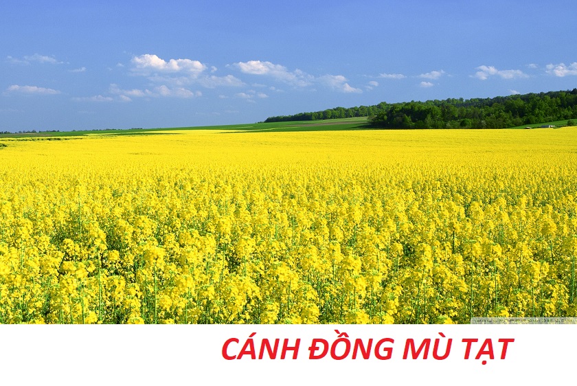 du lịch đà lạt