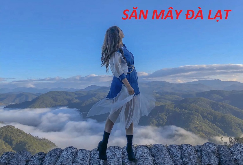 tour-săn-mây-đà-lạt