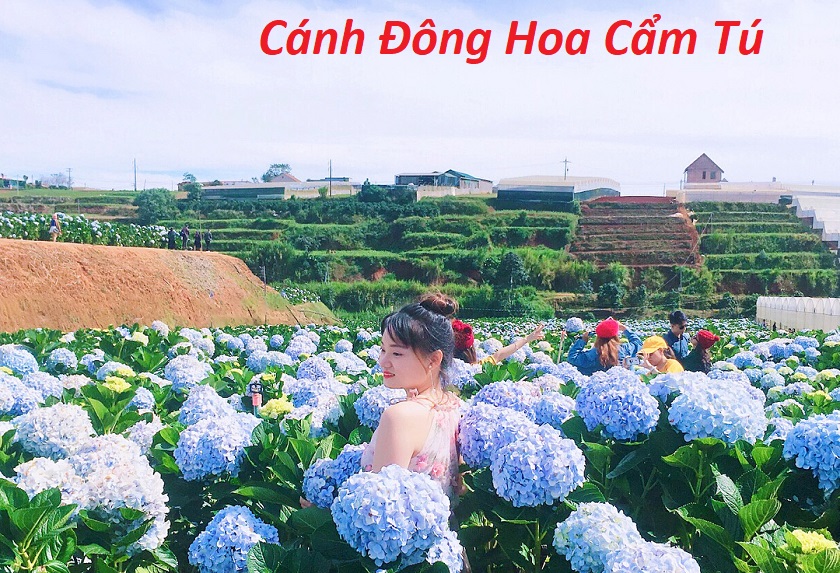 tour đà lạt 1 ngày