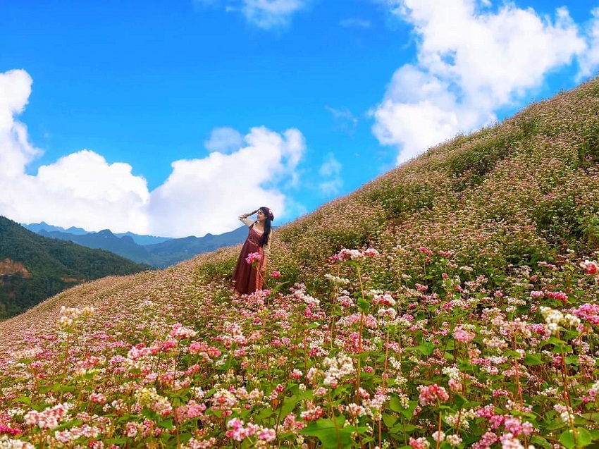 tour-đông-bắc