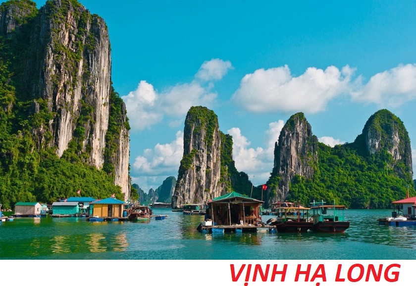Tour-hạ-long
