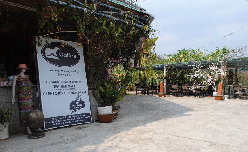 tour-du-lịch-dà-lạt