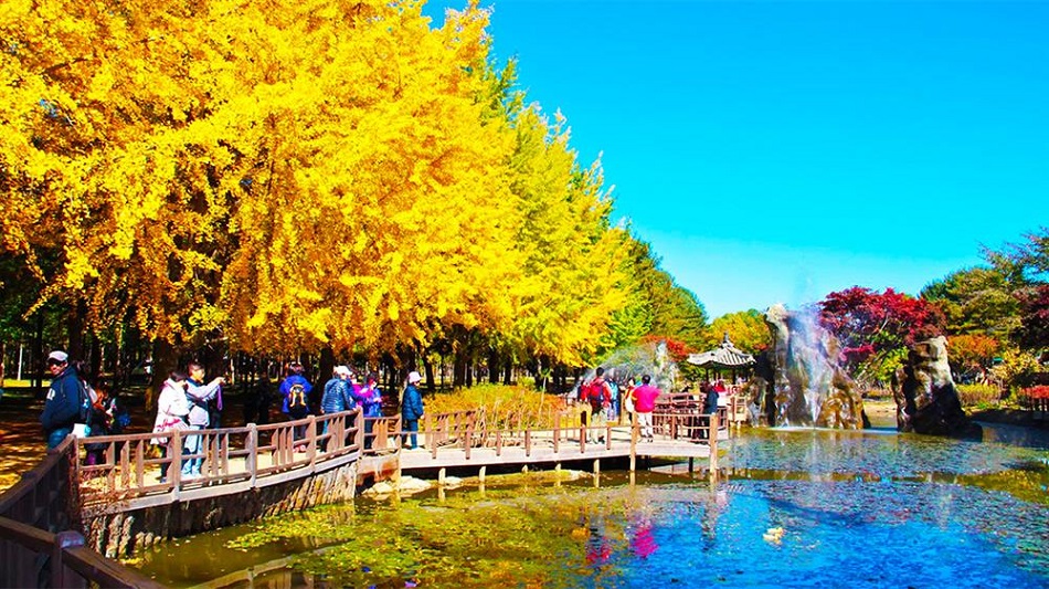 tour-hàn-quốc
